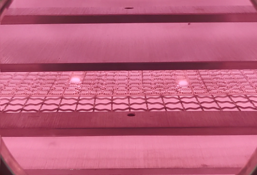 哔咔漫画官网版下载哔咔漫画APP下载免费清洗機.png 哔咔漫画官网版下载哔咔漫画APP下载免费清洗機.png